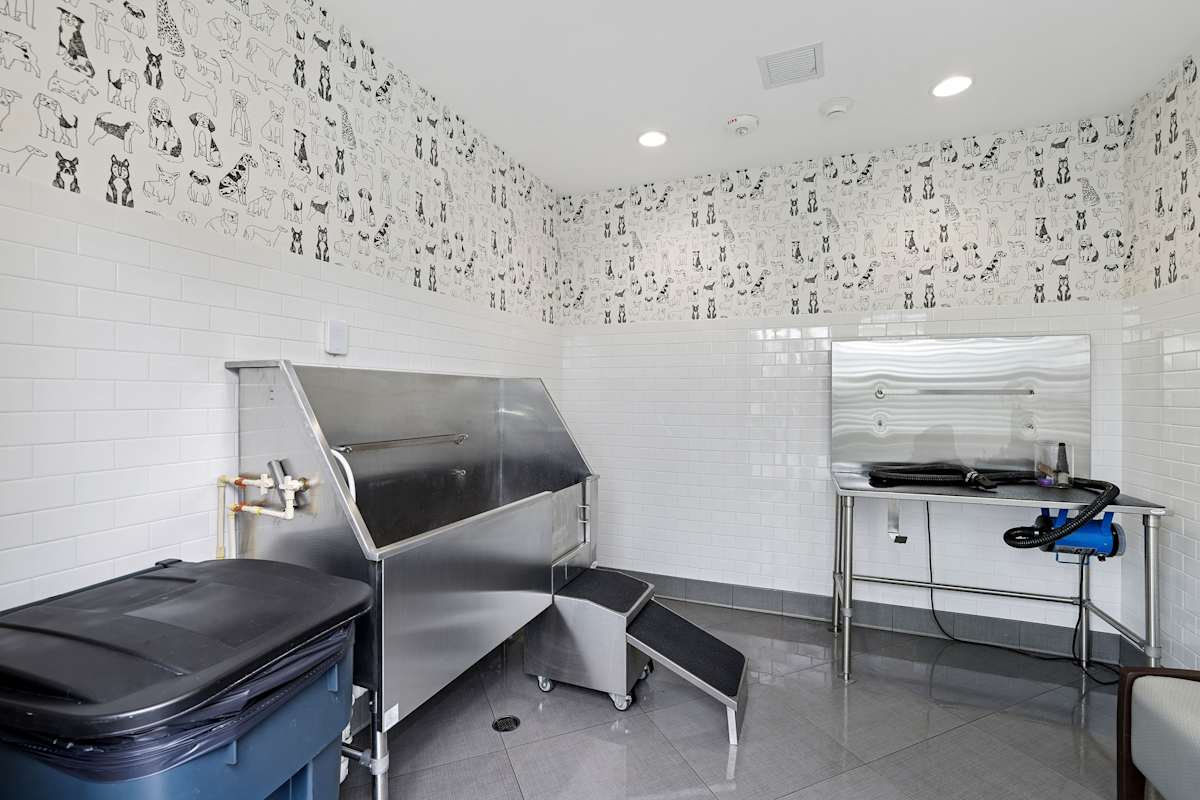 Onyx dog spa wash and grooming station - Uniondale, NY