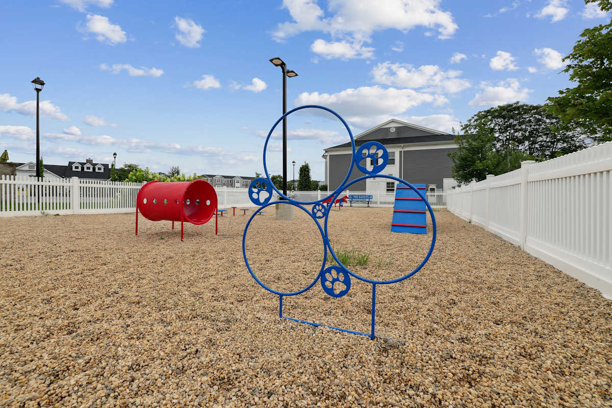 Onyx on-site dog park - Uniondale, NY