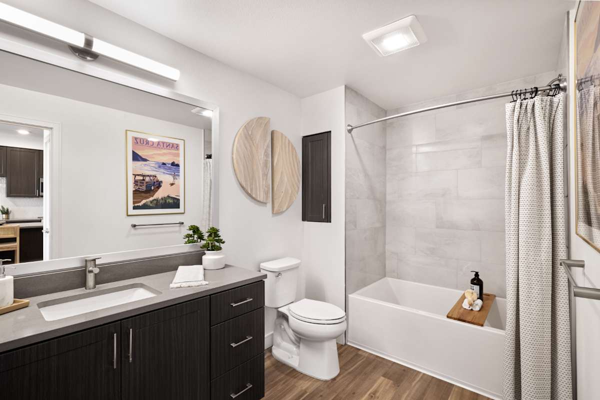 Anton Pacific apartment bathroom vanity - Santa Cruz, CA