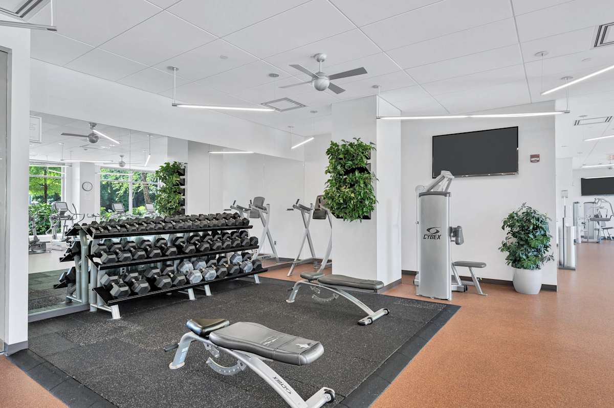 Prosperity Flats fitness center with strength equipment - Fairfax, VA