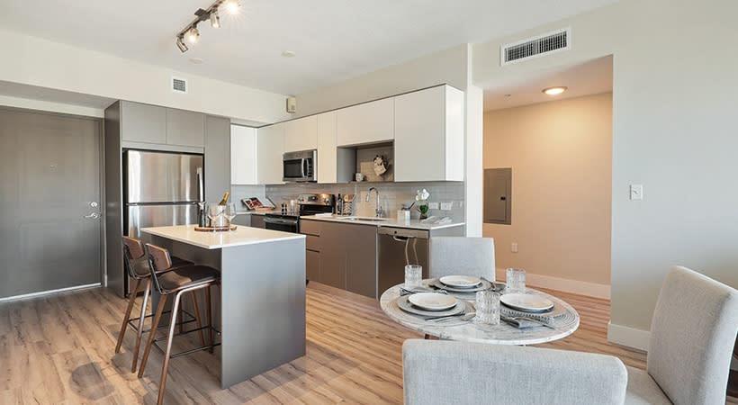 Pacifica apartment kitchen and cabinetry - Boynton Beach, FL