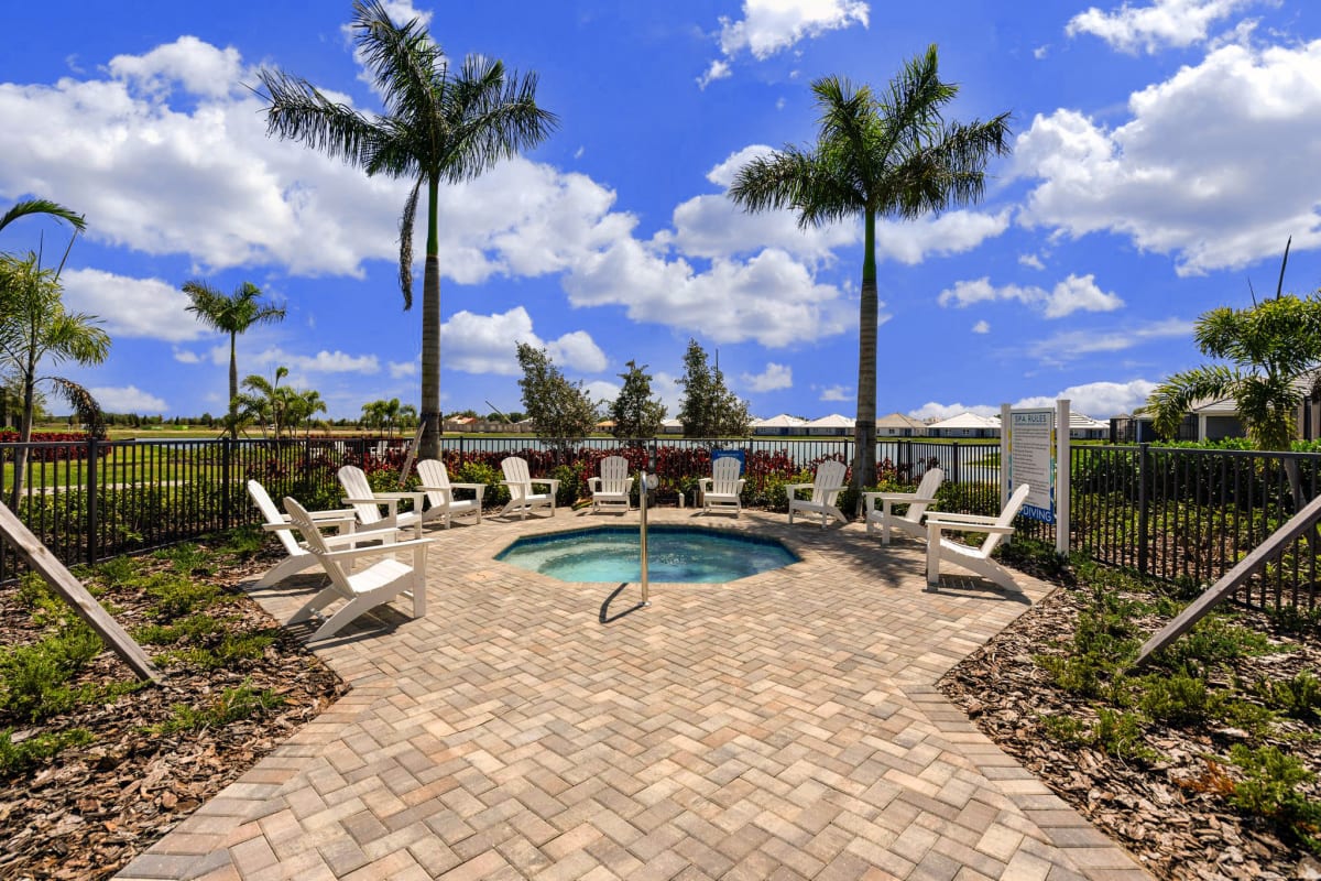 Marisol pool seating with palm trees - Lakewood Ranch, FL