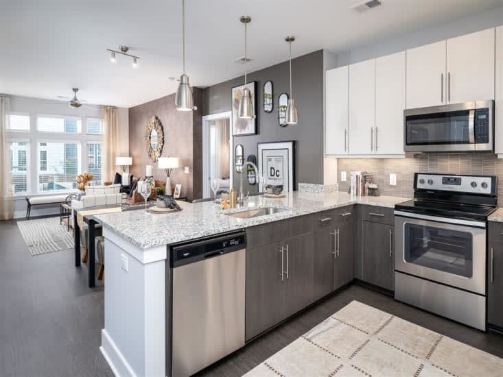 Cameron Square apartment kitchen with luxury finishes - Alexandria, VA