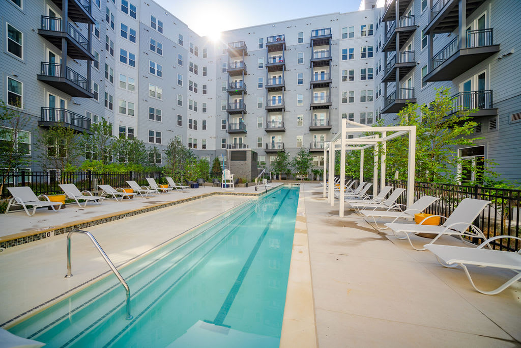 ONE501 Eckington lap pool and sundeck - Washington, DC