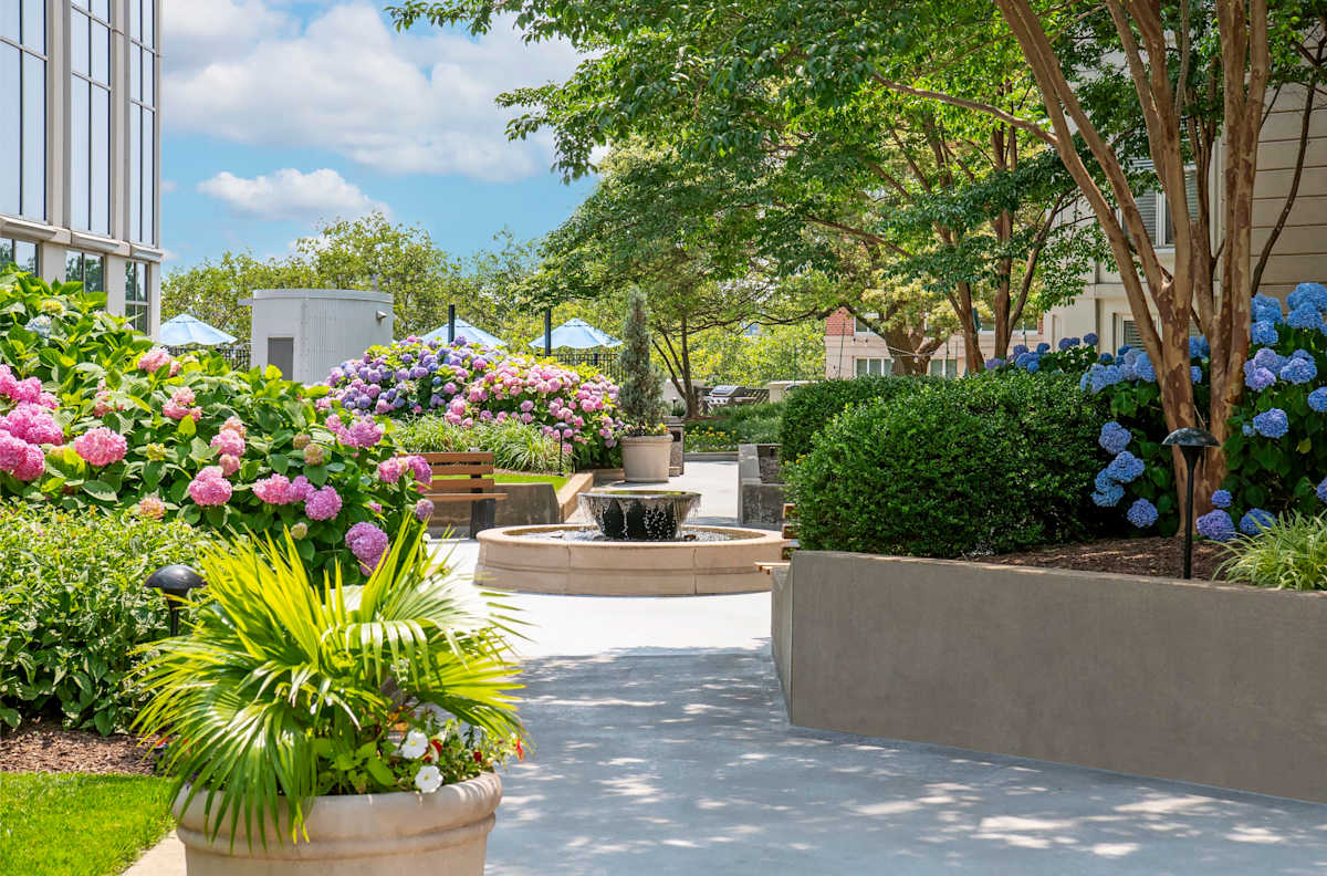 The Promenade at Harbor East garden terrace landscaping - Baltimore, MD