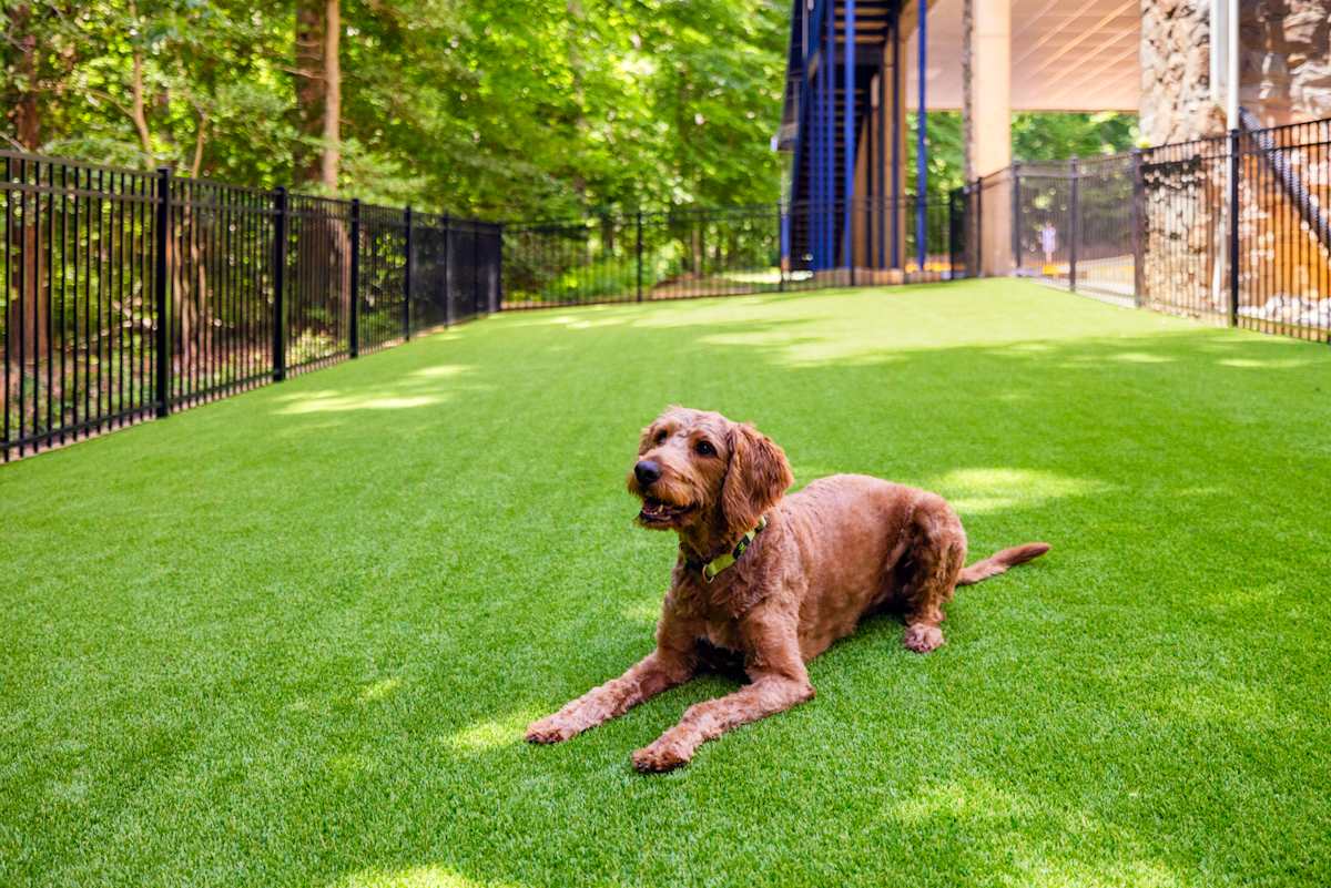 Stone Point Apartments fenced dog run - Annapolis, MD