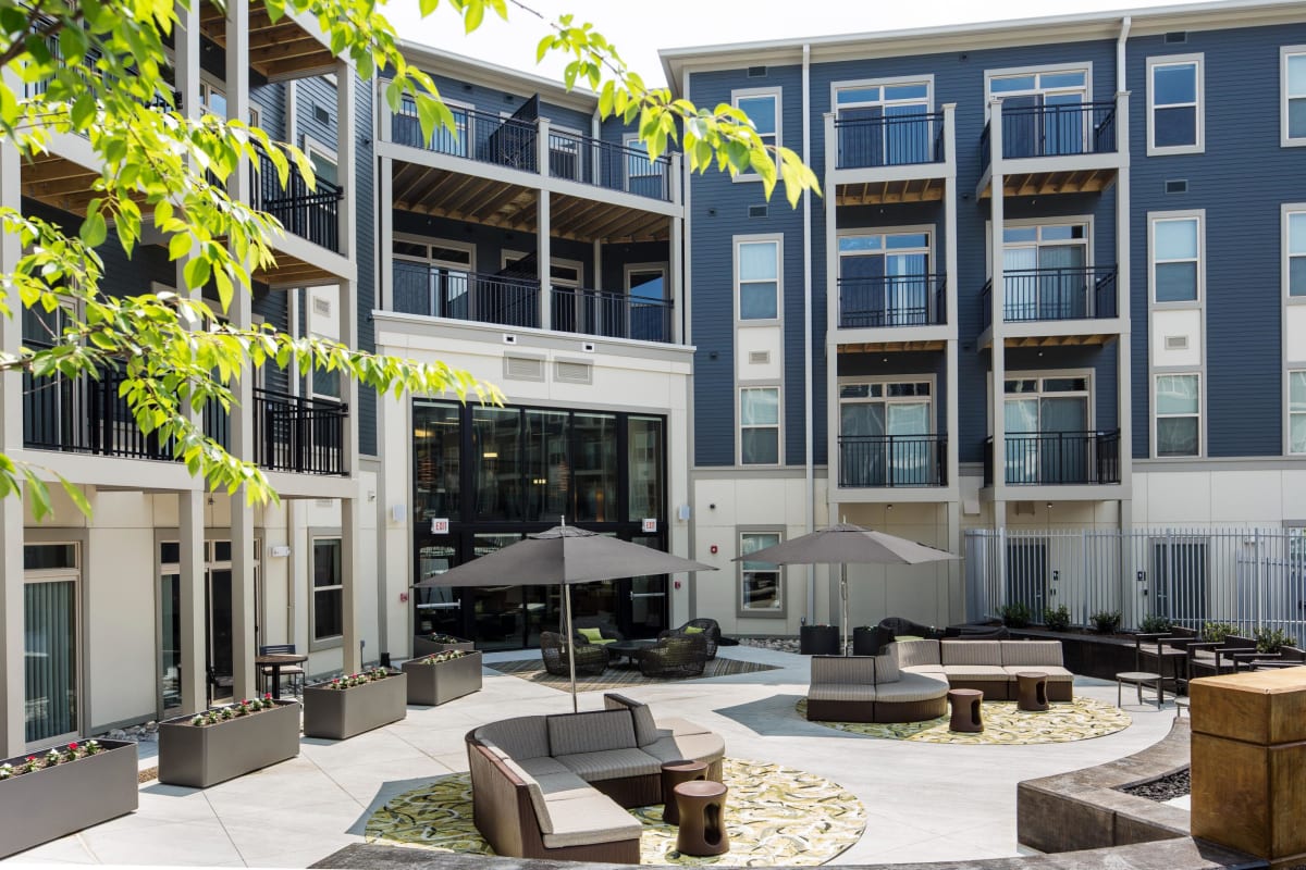 Photos and Video of Citron in Silver Spring, MD