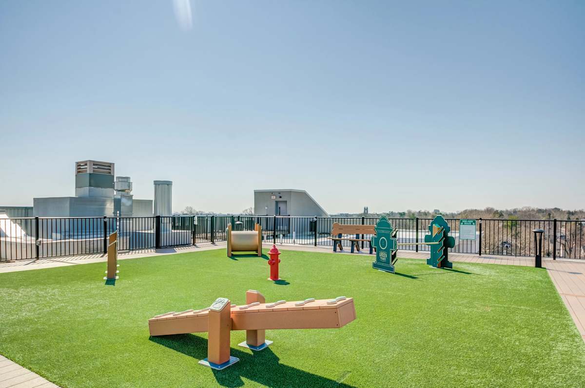 The Kelly rooftop dog park - Bala Cynwyd, PA
