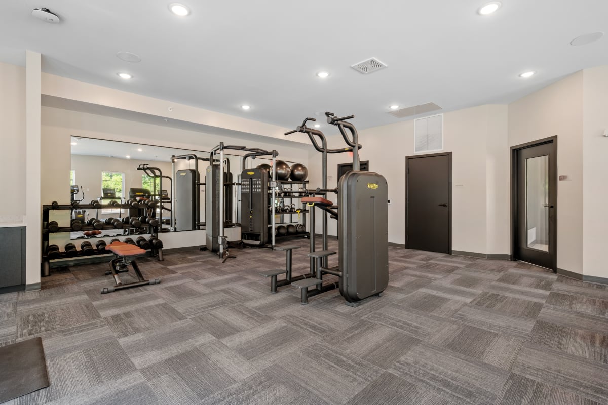 Luxury Apartments | Spacious & Beautiful Modern Apartments - Exclusive Modern Apartments With Private Gym And Cardio Equipment Package