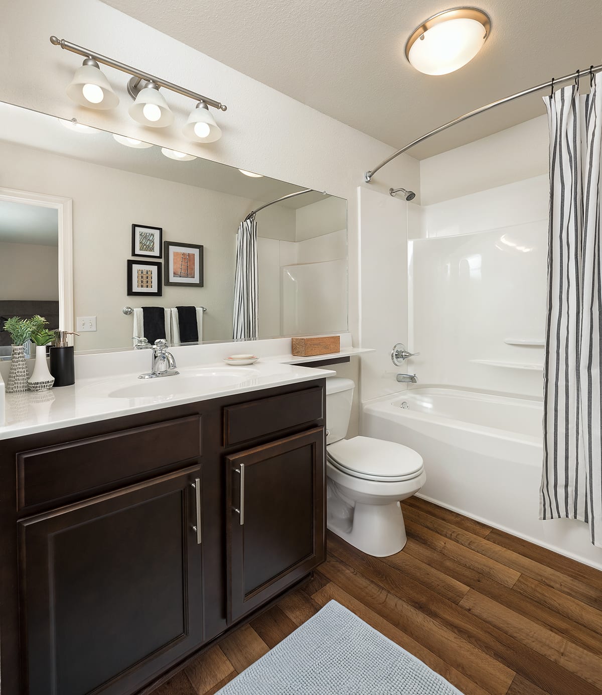 Photos and Video of Addison at Swift Creek in Midlothian, VA