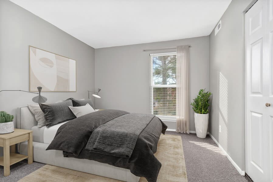 Photos & Videos Tree Top Raleigh, NC