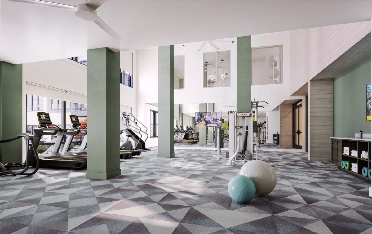 Photos and Video of The Beckley on Trinity BRANDNEW LUXURY