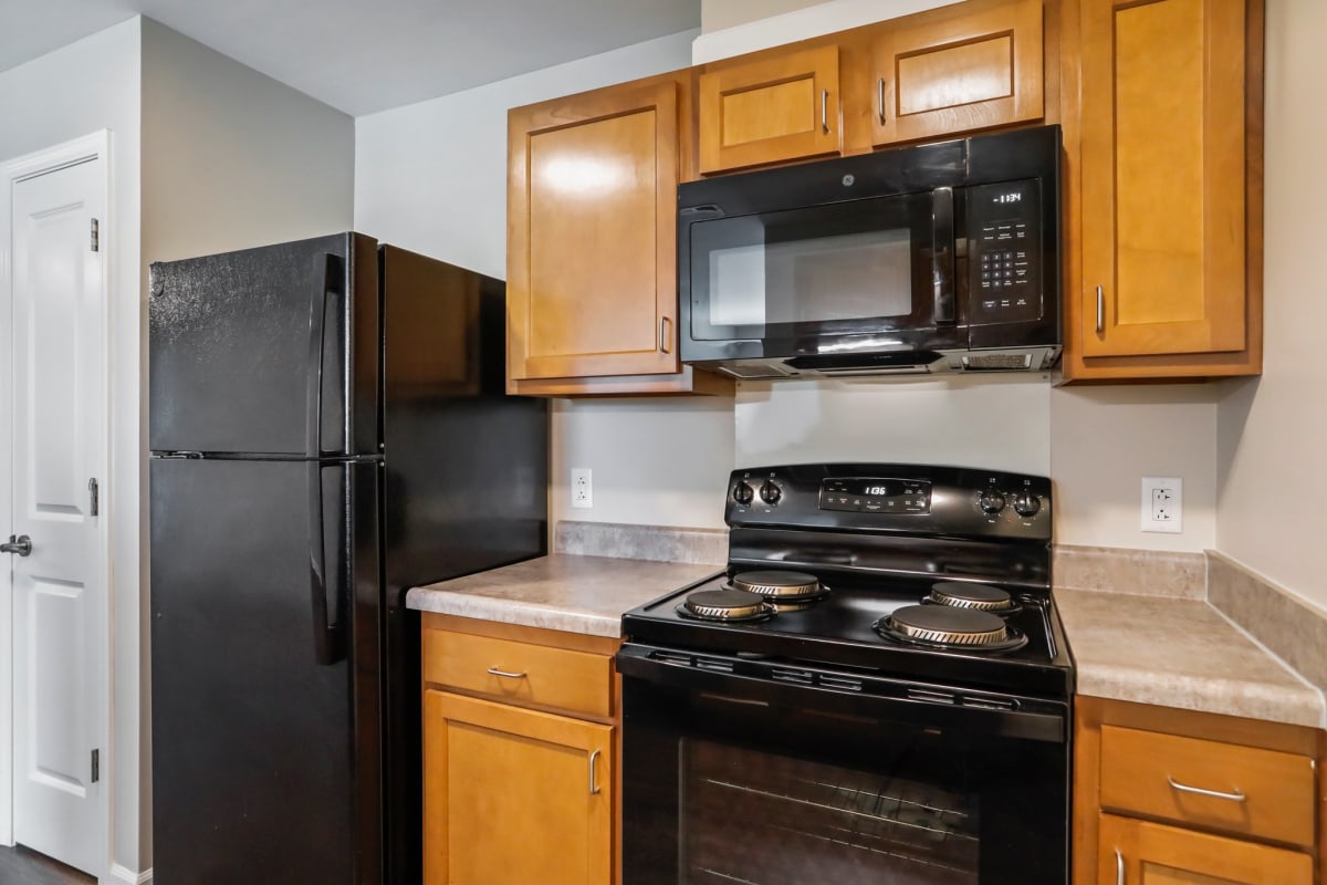 Photos and Video of Allegany Junction in Cumberland, MD