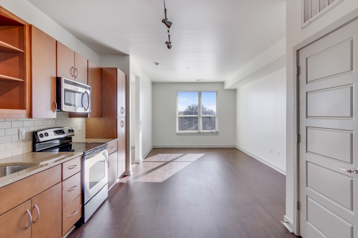 Photos and Video of 12 South in Nashville, TN