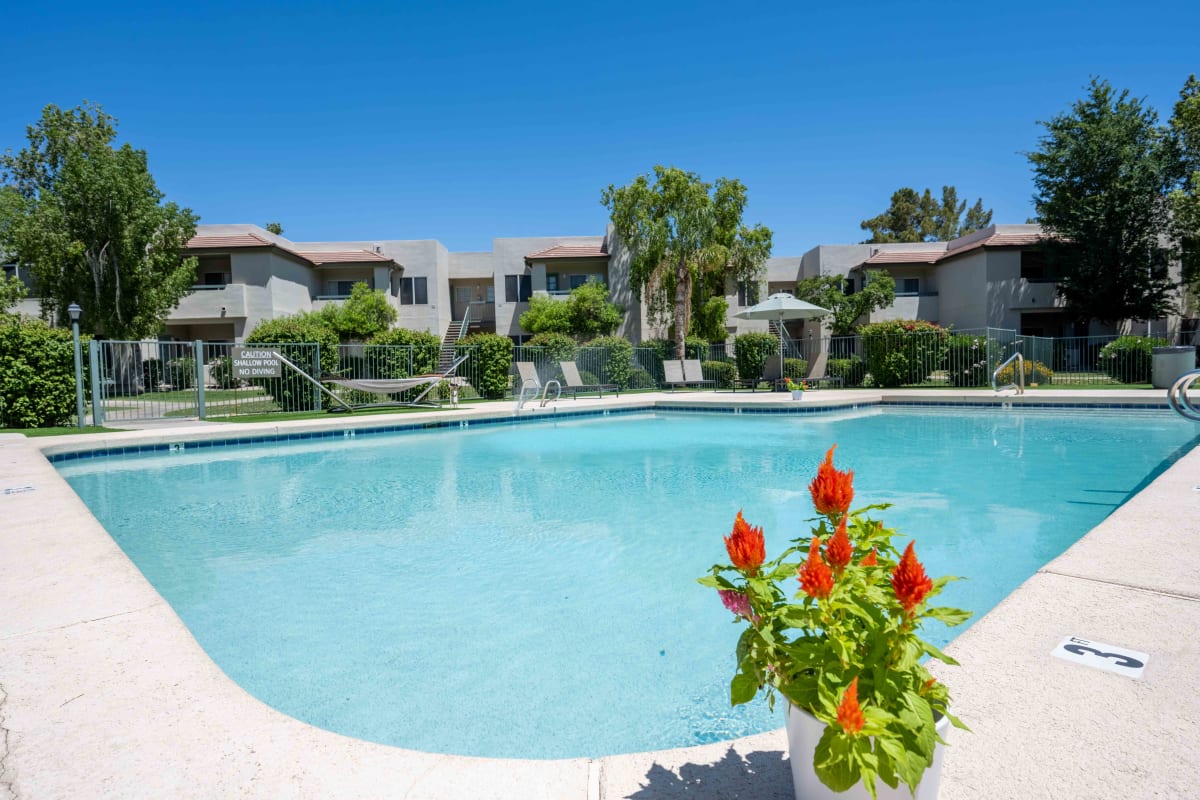 Pool and poolside area at Village at Lakewood.