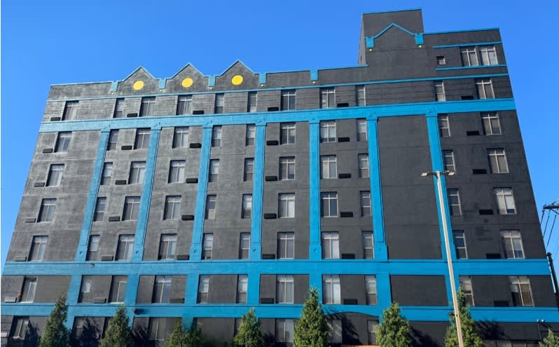Delmar Loop Apartments exterior building - St. Louis, MO