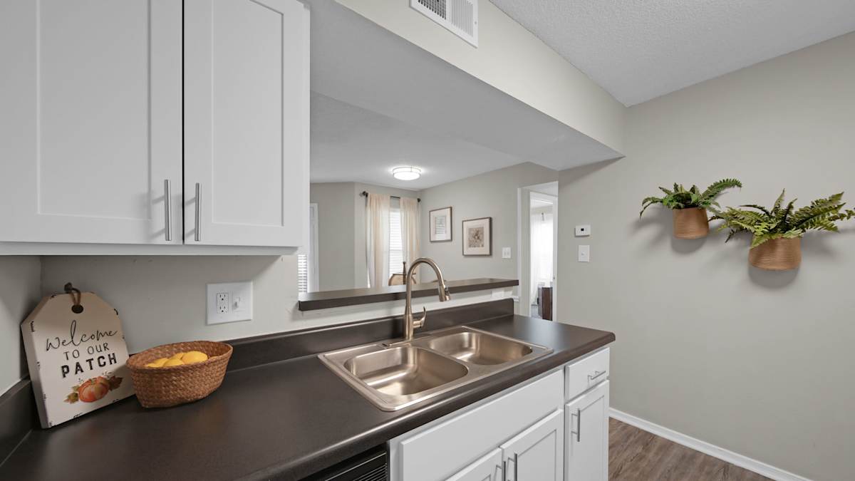 The Local Apartments kitchen sink and faucet - Memphis, TN