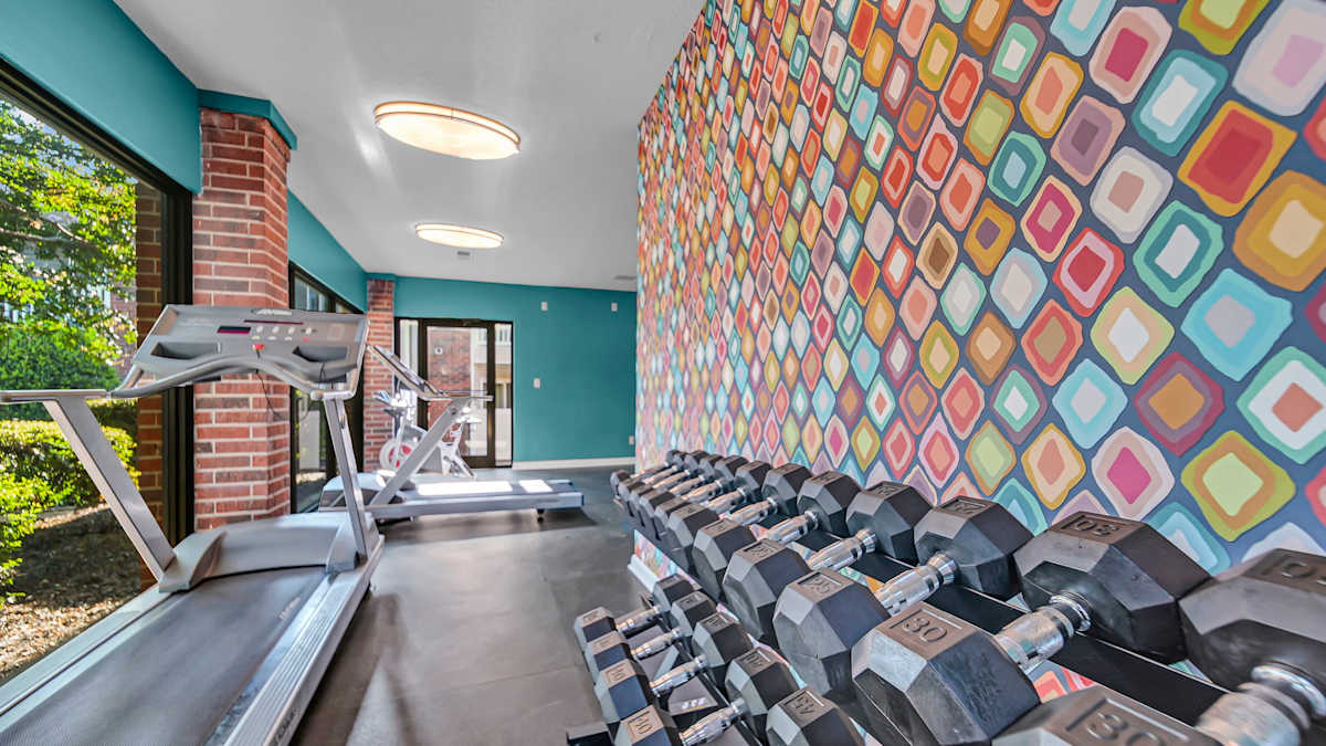 The Nova Apartments gym dumbbell area - Memphis, TN