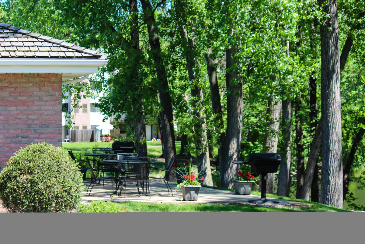 Olympic Ridge Apartments MN Summary