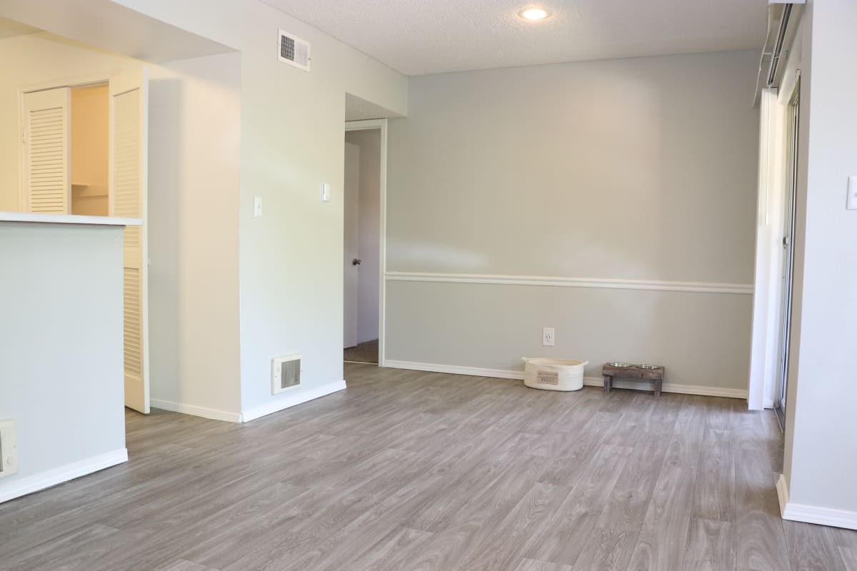 Photos and Video of Palomar West in El Paso, TX