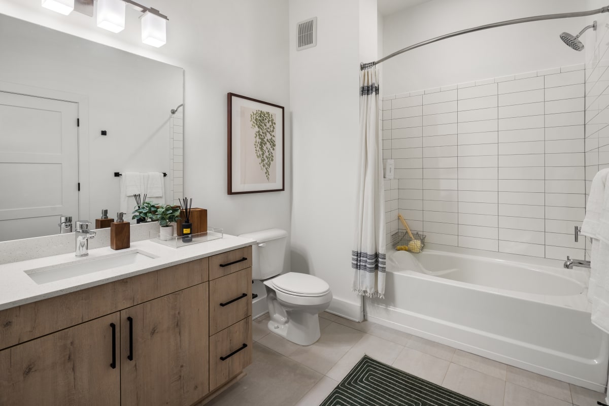 The Argos Apartments on The Beltline apartment interior - Atlanta, GA