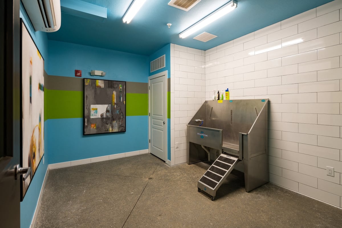 Pet spa at The Kirkwood Apartments - Atlanta, GA