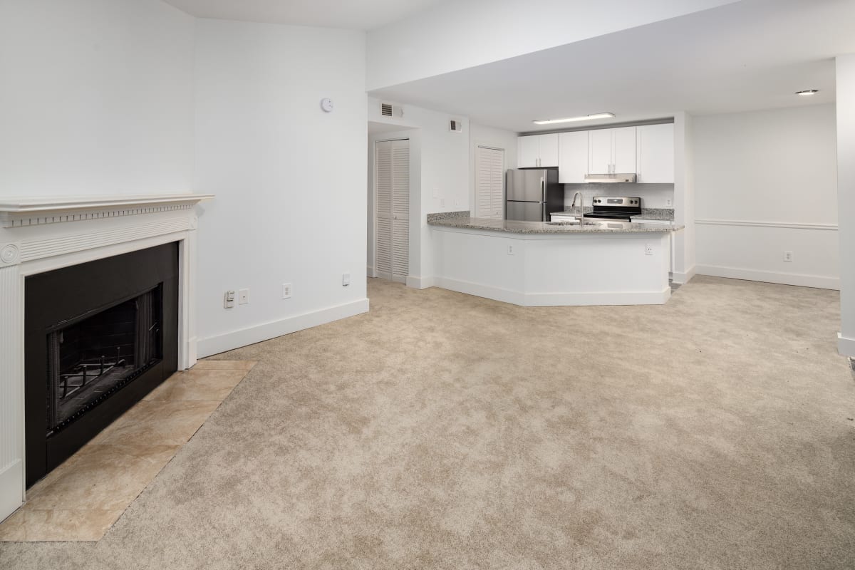 Wesley Place Apartments at Lawrenceville apartment interior - Lawrenceville, GA