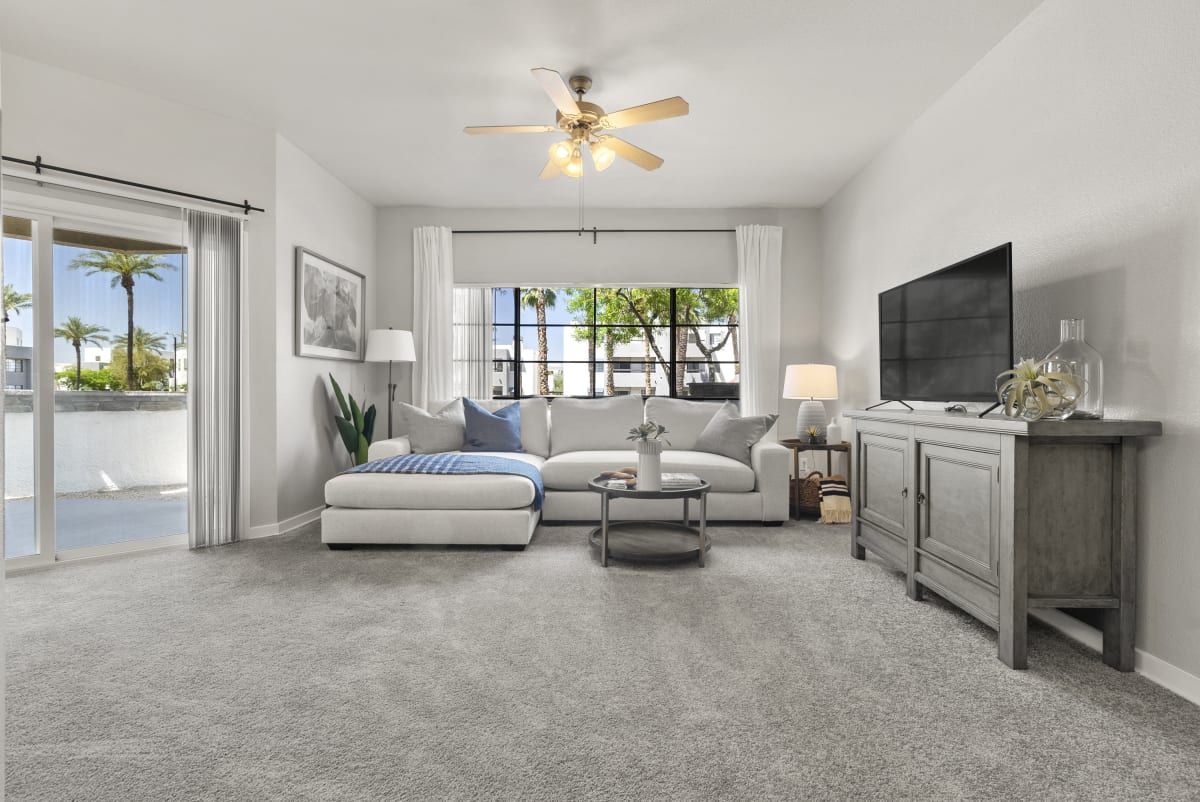 Furnished apartment living area shown — representative home at Vaseo Apartments.