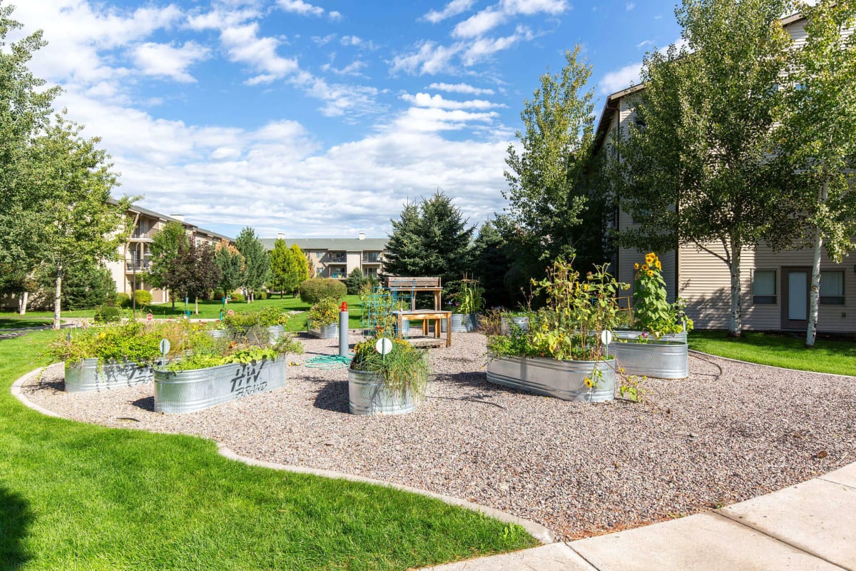 Photo Gallery Mullan Reserve Apartments