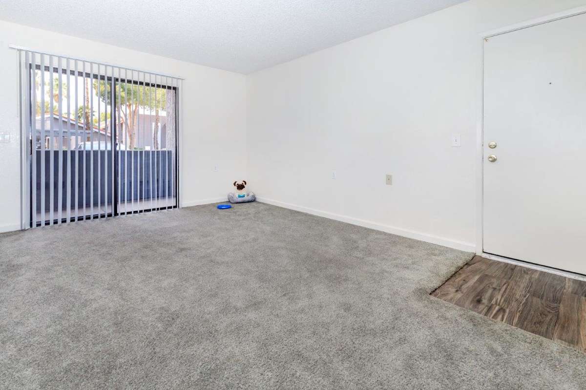 Apartments for Rent in Tucson, AZ | Element on The Loop