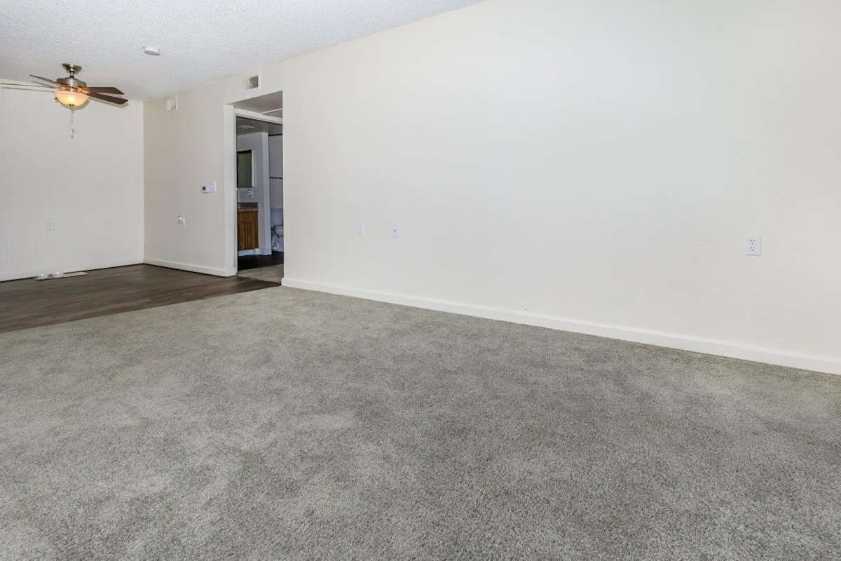 Apartments for Rent in Tucson, AZ | Element on The Loop