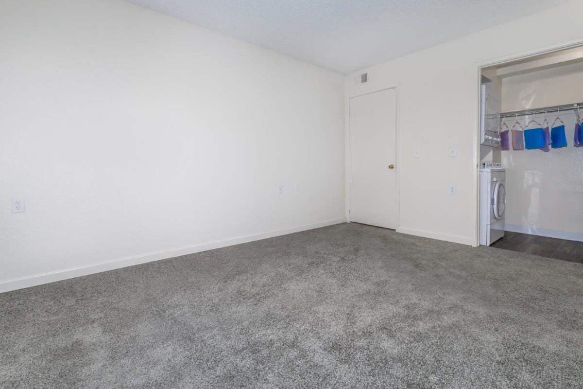 Apartments for Rent in Tucson, AZ | Element on The Loop