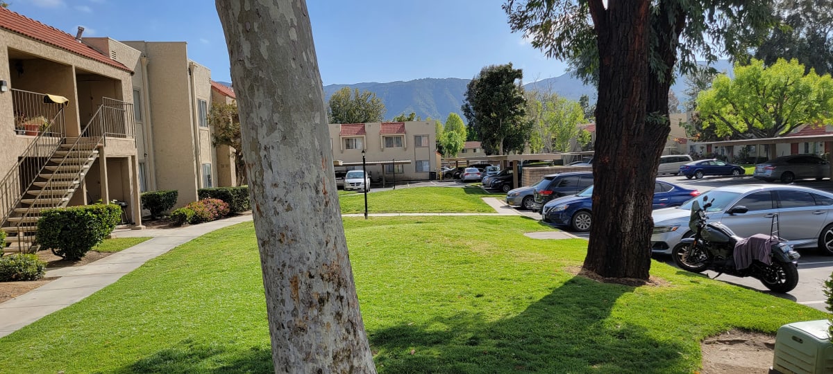 Photos and Video of Sierra Vista Apartments in Lake Elsinore, CA