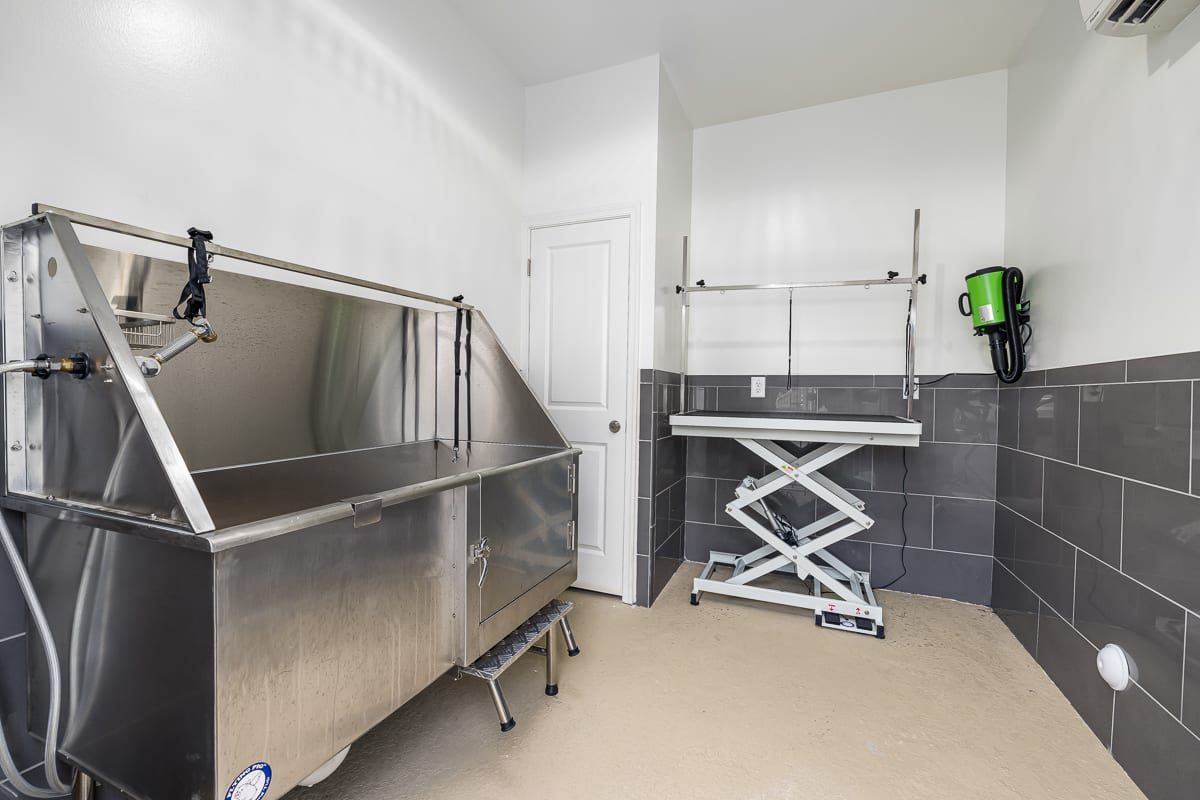 Photos and Video of Elevate Haw River in Graham, NC