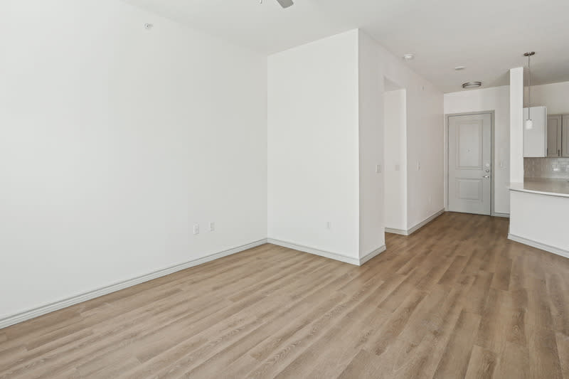 Photos and Video of Terra Lago in Rowlett TX