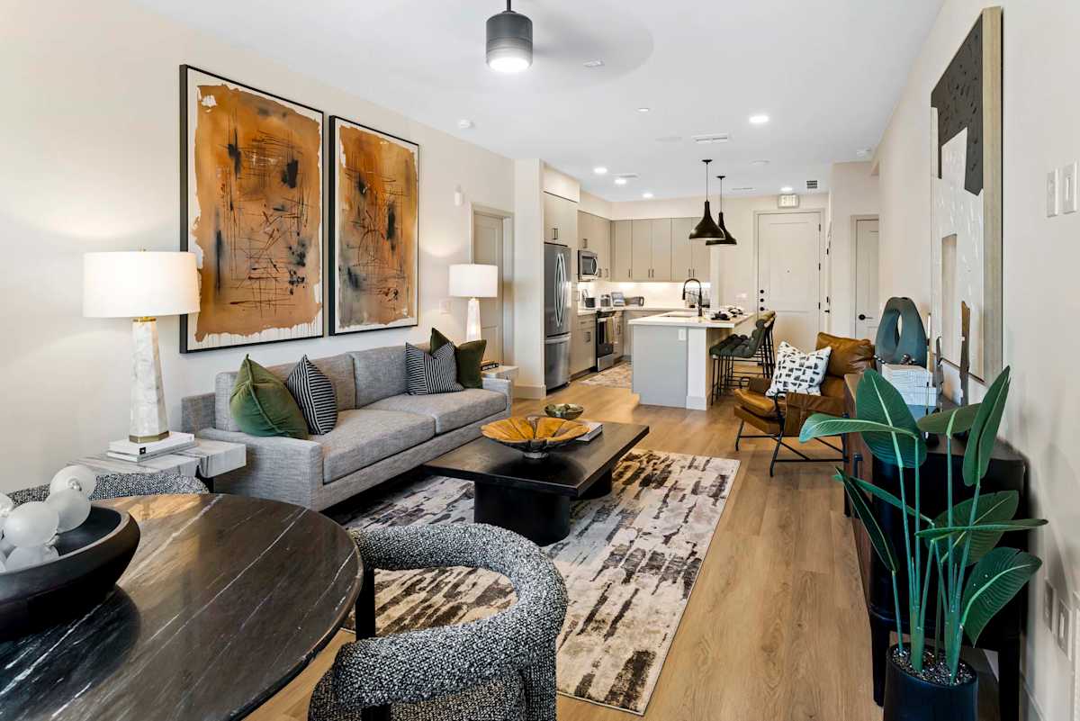 Furnished living room and kitchen at Elysium.