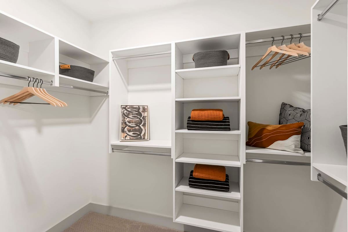 Walk-in closet shelving at Elysium.