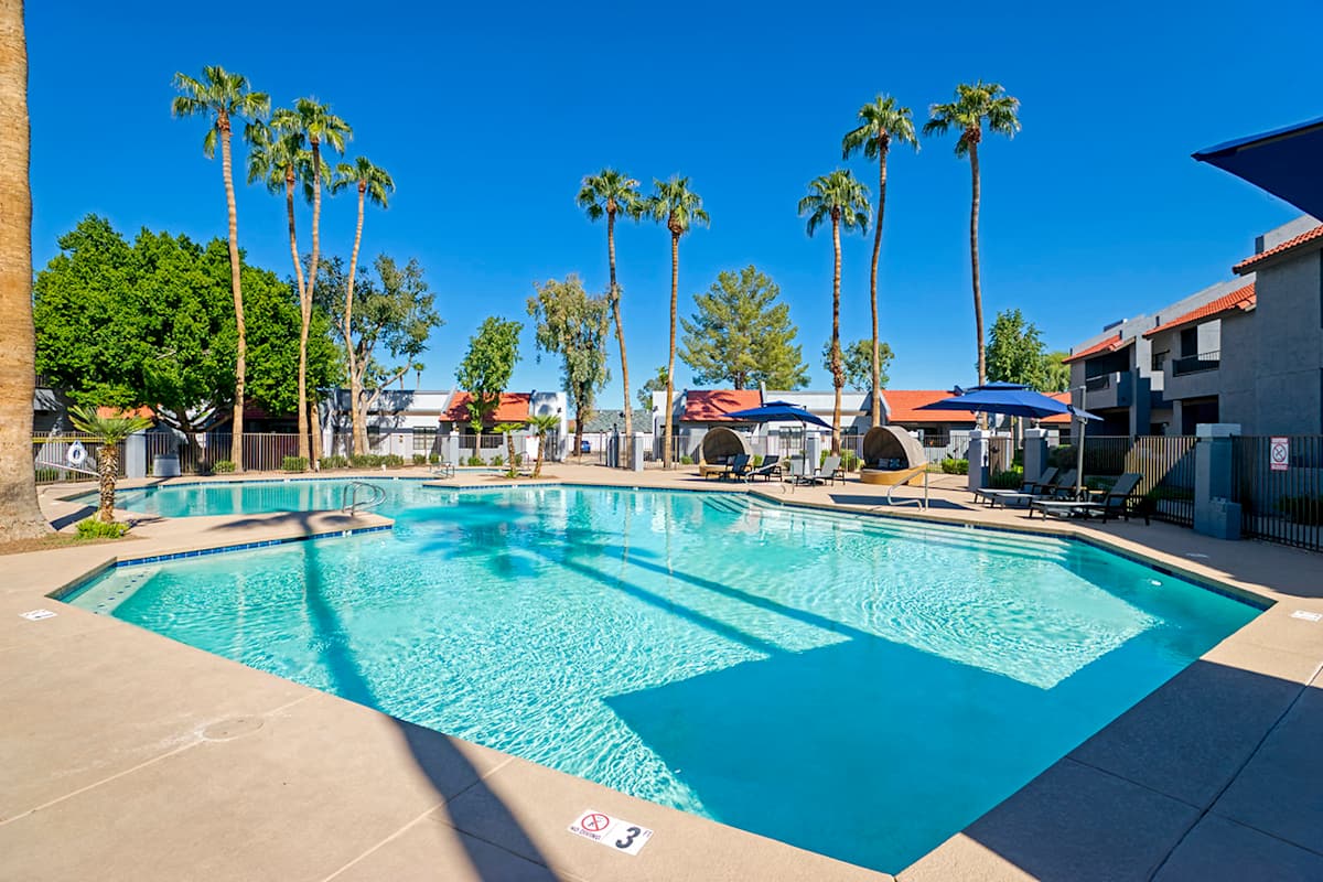 Swimming pool and deck at Diamonte on Bell.