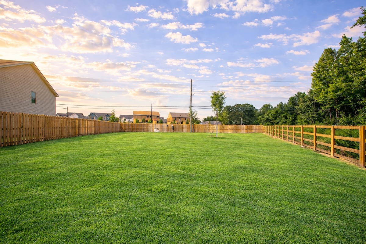 Chase Landing dog park - Loganville, GA