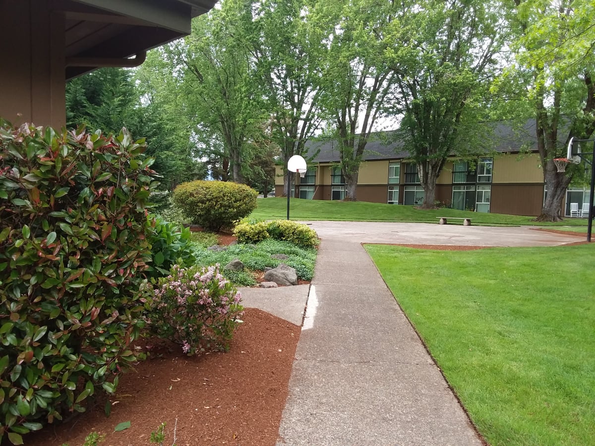 Photos and Video of Firwood Village in Eugene, OR