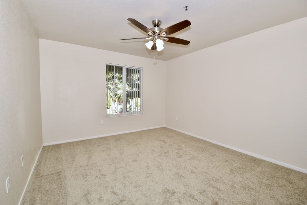 Photos and Video of Tuscaro in Sacramento, CA