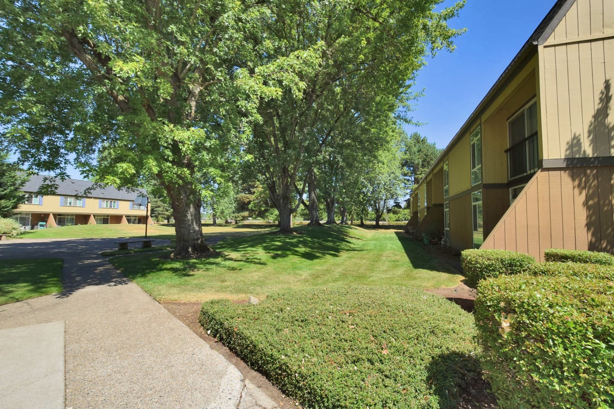 Photos and Video of Firwood Village in Eugene, OR