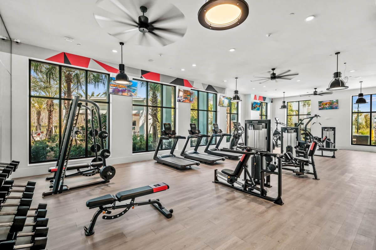 Altis Grand Suncoast fitness center equipment - Land O' Lakes, FL