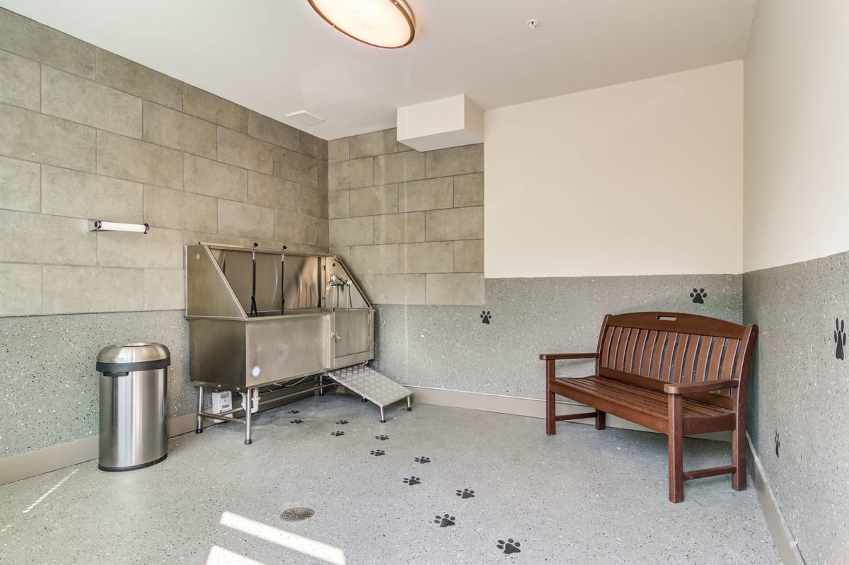 1824 Defoor Apartments pet spa area - Atlanta, GA