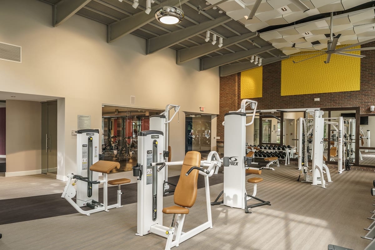 The Retreat at Sawgrass Village fitness center strength equipment - Sunrise, FL