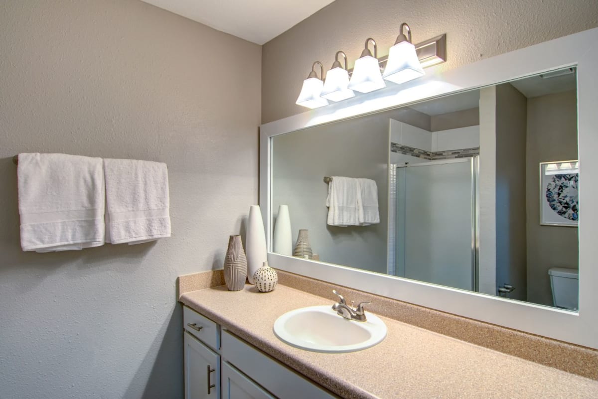 Barrington Hills Apartments bathroom - Peachtree Corners, GA