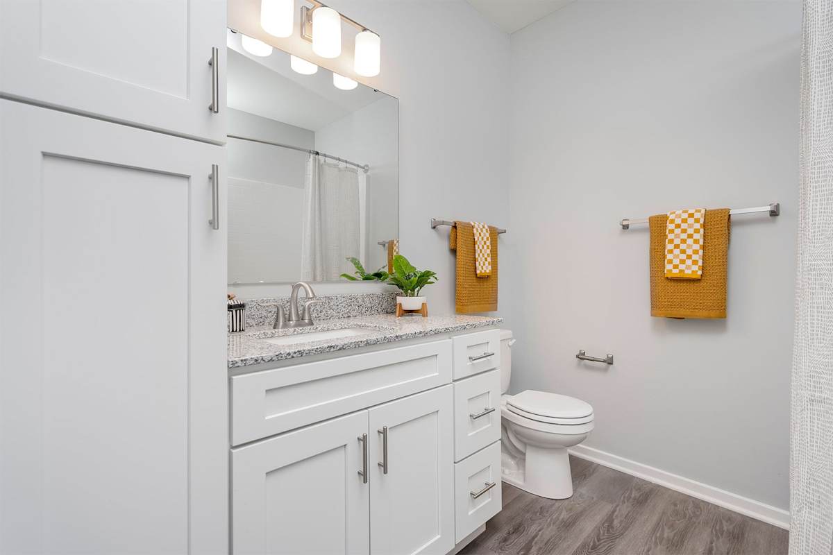 The Retreat Apartments bathroom vanity and toilet - Wyoming, MI