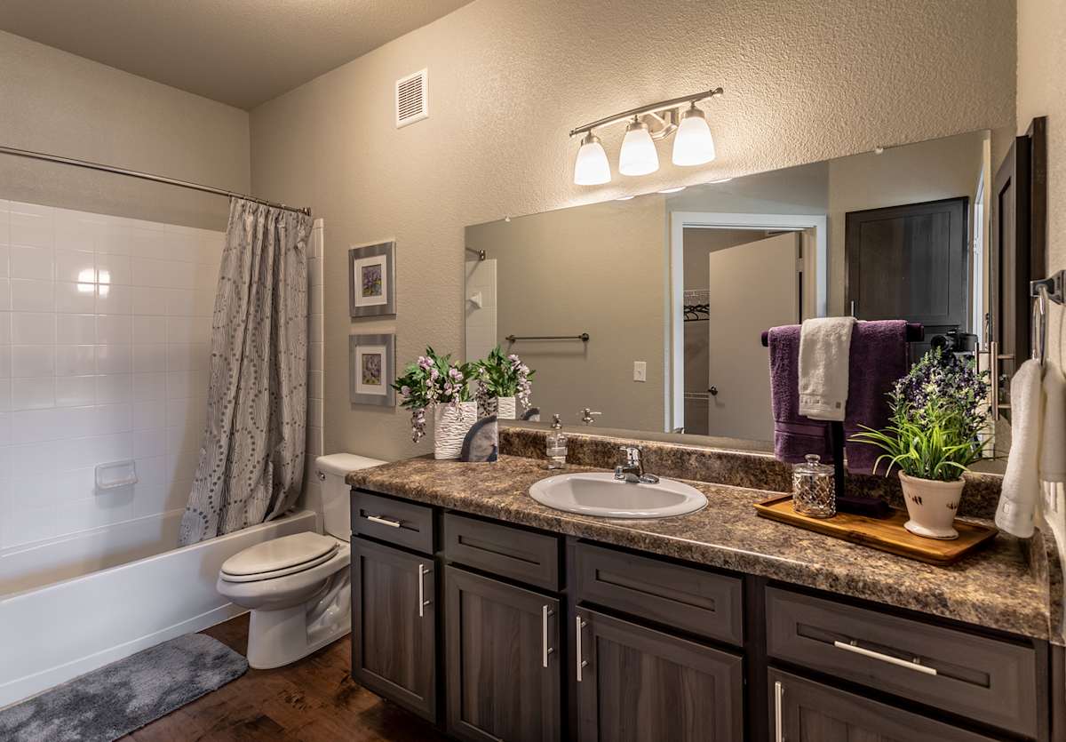 Verandas at Alamo Ranch bathroom sink and toilet - San Antonio, TX