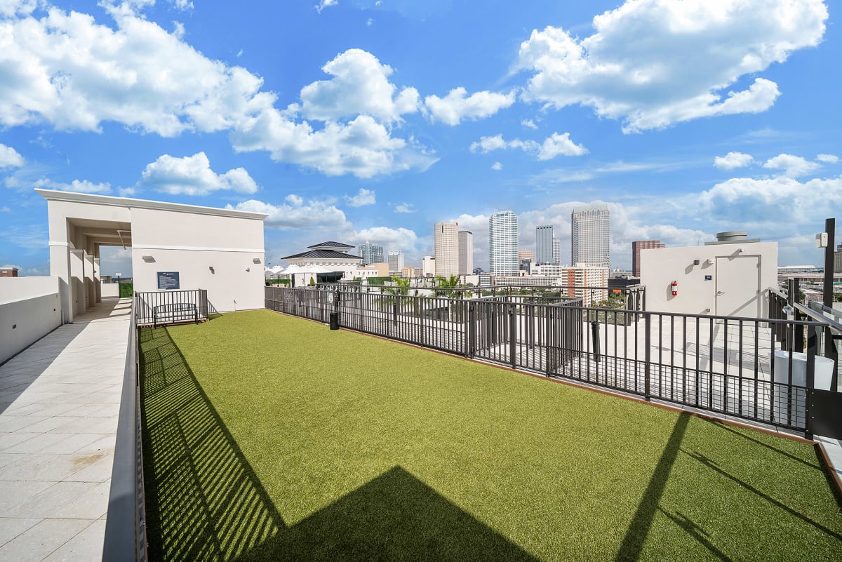 Altis Grand Central rooftop pet area lawn - Tampa, FL