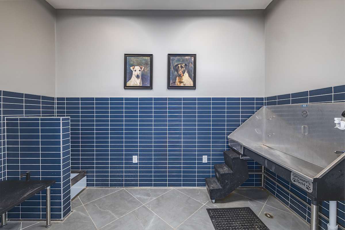 Founders Landing Apartments pet washing station area - Lebanon, OH